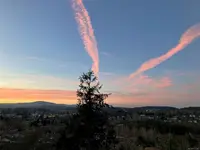 View 37