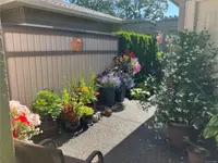 View 39