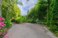 View 53