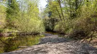 View 67