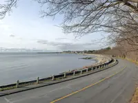 View 42