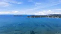 View 41