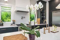 View 16