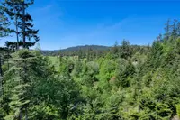 View 83