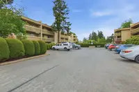View 29