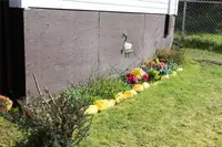 View 33