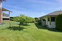 View 40