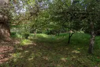 View 45