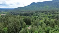 View 45