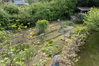 View 61