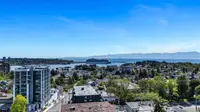 View 50