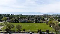 View 31