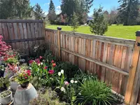 View 28