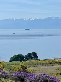 View 66