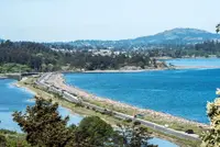 View 64