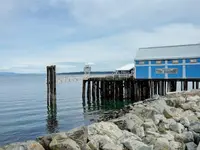View 39