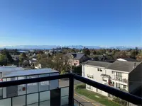 View 4