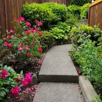 View 27