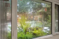 View 29