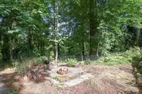 View 39