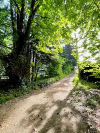 View 17