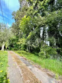 View 18