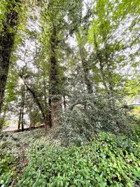 View 11