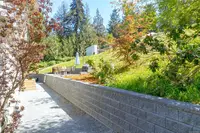 View 24