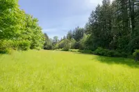 View 81