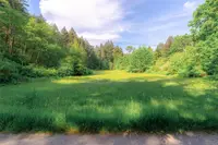 View 59