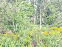 View 21