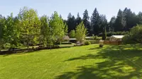 View 50