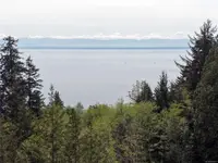 View 62