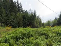 View 57