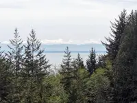 View 63