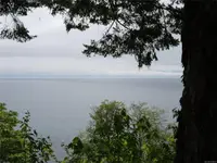 View 51