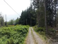 View 55
