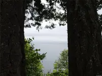 View 50