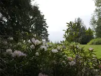 View 48