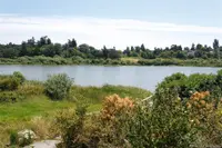 View 34