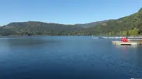 View 3