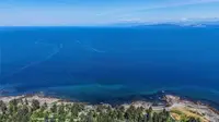 View 49