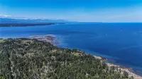 View 50