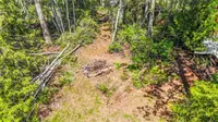 View 74
