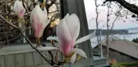 View 72
