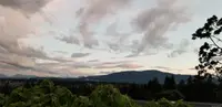 View 77