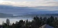 View 84