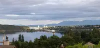 View 81