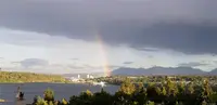 View 79