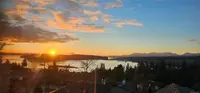 View 86